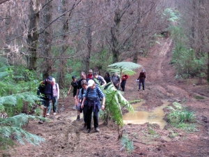 Image of img_0016.jpg