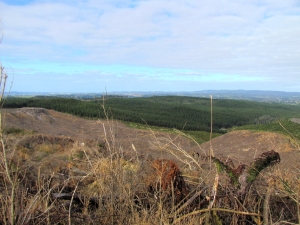 Image of img_0021.jpg