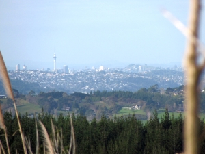 Image of img_0025.jpg