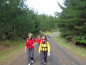 Image of img_0036.jpg