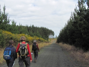 Image of img_0052.jpg