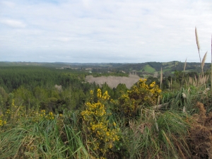 Image of img_0060.jpg