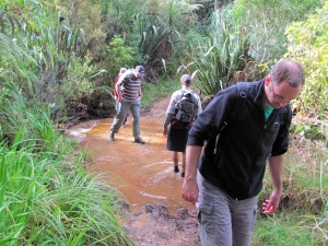 Image of img_0067.jpg