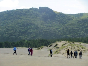 Image of img_0233.jpg