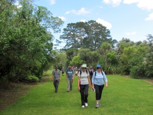 Image of img_1062.jpg