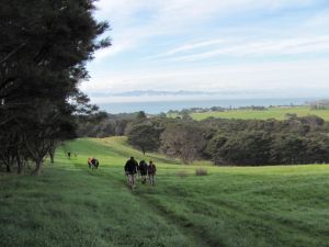 Image of img_1085.jpg