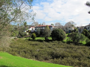 Image of img_1096.jpg