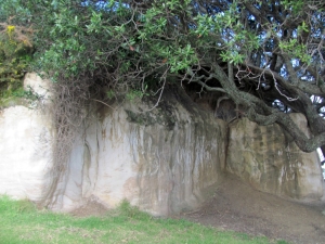 Image of img_1110.jpg