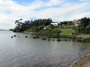 Image of img_1116.jpg