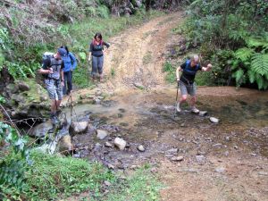 Image of img_1118.jpg