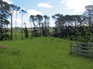 Image of img_1119.jpg