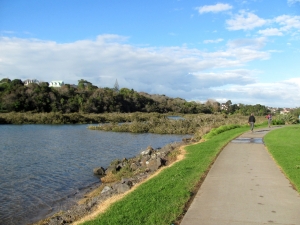 Image of img_1131.jpg