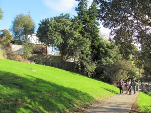 Image of img_1135.jpg