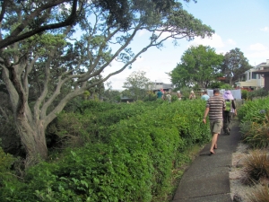 Image of img_1136.jpg