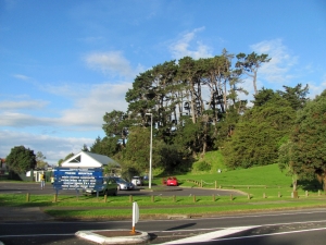 Image of img_1140.jpg