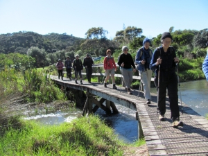 Image of img_1445.jpg