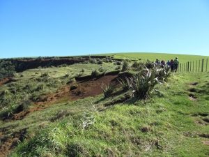 Image of img_1463.jpg