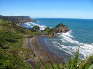 Image of img_1478.jpg