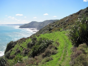 Image of img_1482.jpg