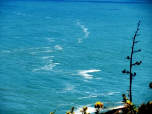 Image of img_1487.jpg