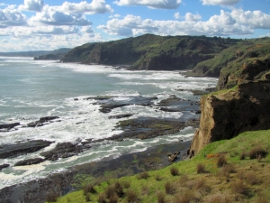 Image of img_1519.jpg