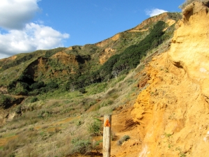 Image of img_1520.jpg