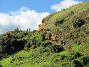 Image of img_1525.jpg