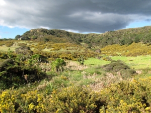 Image of img_1529.jpg