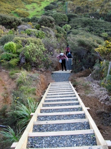 Image of img_1532.jpg