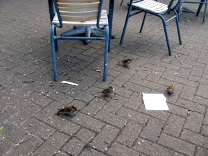 Image of img_1542.jpg