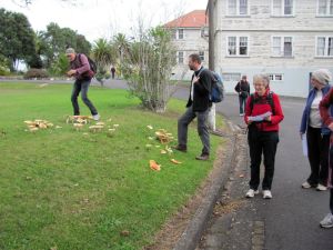 Image of img_1634.jpg