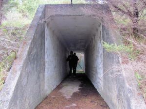 Image of img_1655.jpg