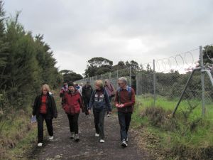 Image of img_1657.jpg