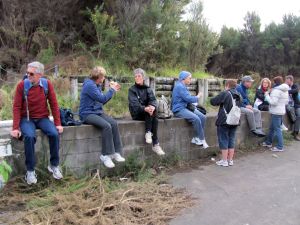 Image of img_1664 feeding the birds.jpg