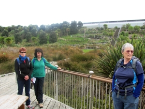 Image of img_1717.jpg