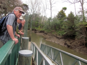 Image of img_1749.jpg