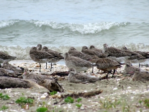 Image of img_1889.jpg