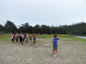 Image of img_1890.jpg