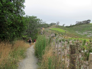 Image of img_1904.jpg