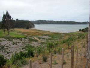 Image of img_1906.jpg