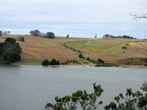 Image of img_1910.jpg