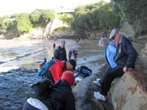 Image of img_2130.jpg