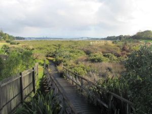 Image of img_2135.jpg