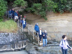 Image of img_2153.jpg