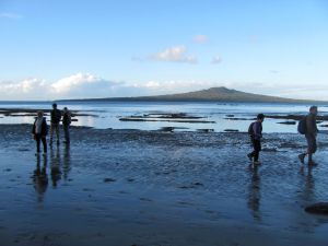 Image of img_2161.jpg