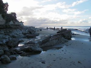 Image of img_2162.jpg