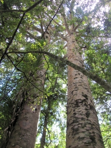 Image of img_2474.jpg