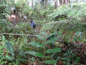 Image of img_2533.jpg