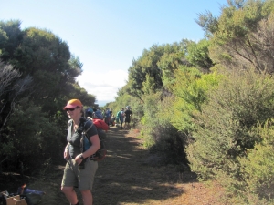 Image of img_3052.jpg