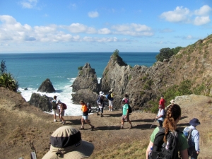 Image of img_3079.jpg